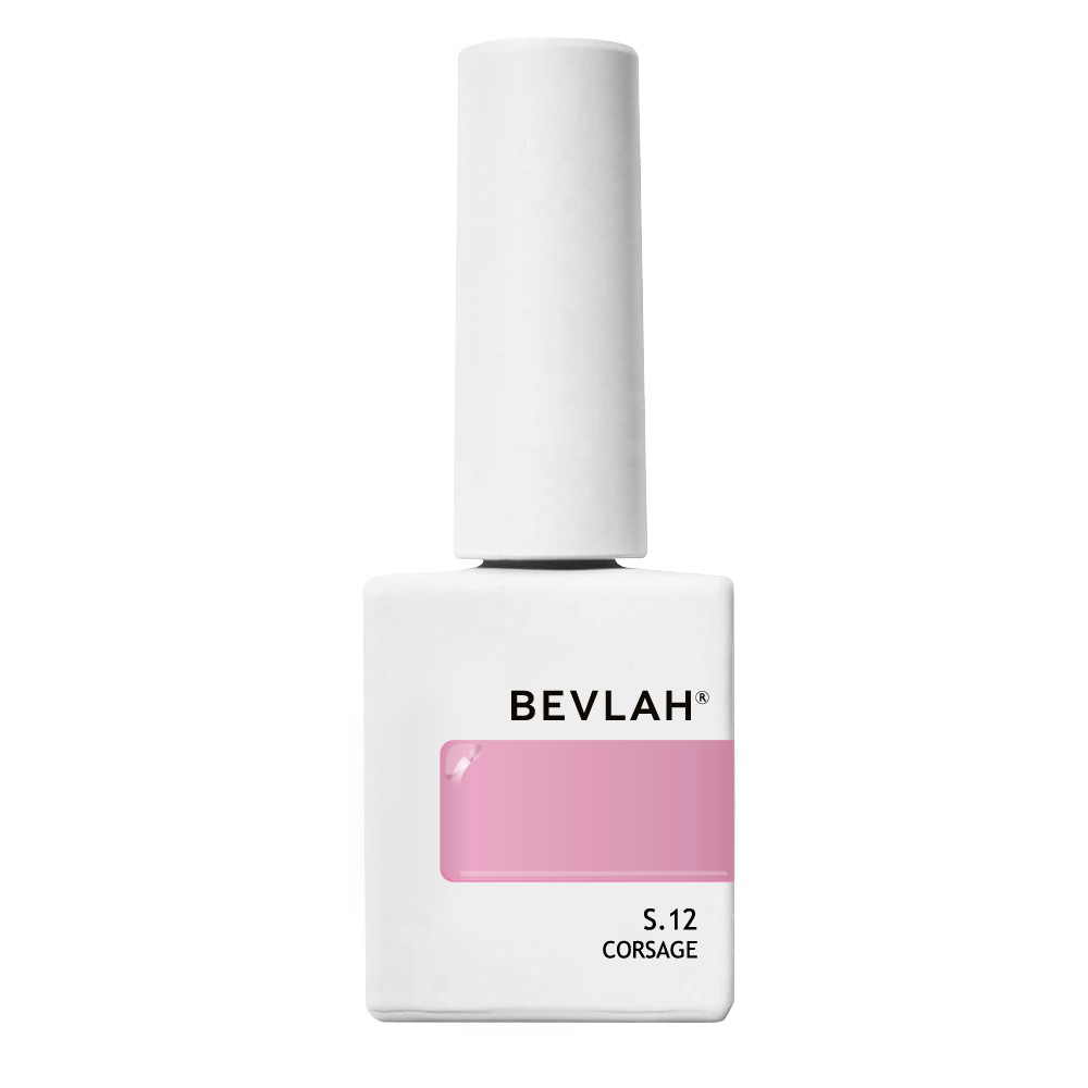 BEVLAH - Return II Collection