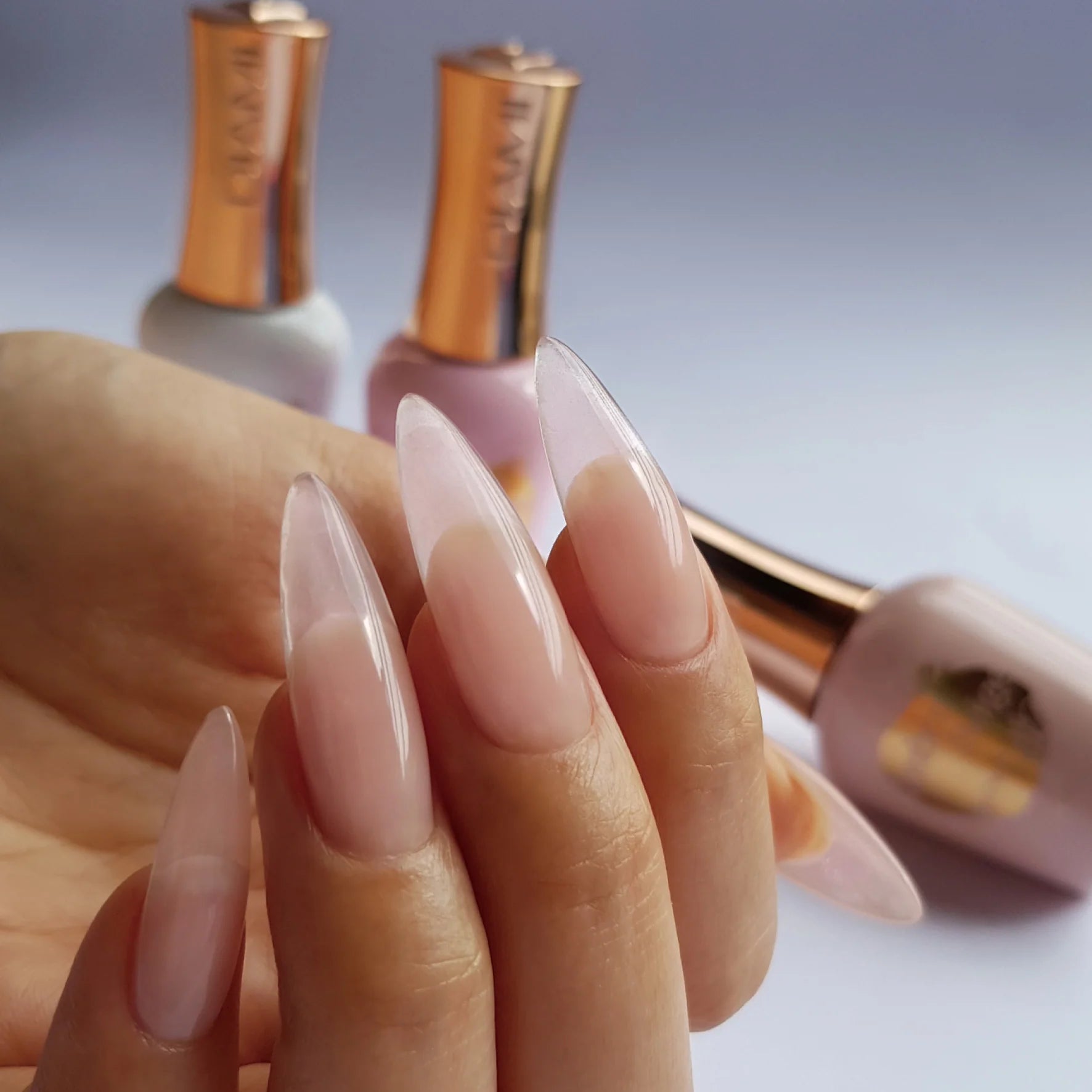 DIAMI - CANOE Tips Clear & Peach