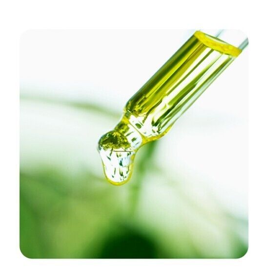 ★BESTSELLING★ Korean Sheet Mask - MEDIHEAL Tea Tree Essential Face Mask For All Skin Types